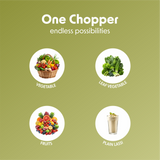 Cellecor Cutzy CEC02 Electric Chopper