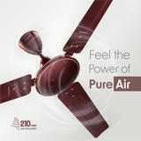 Cellecor BLIZZA CF481 Ceiling Fan