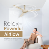 Cellecor BLIZZA CF481 Ceiling Fan