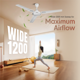 Cellecor VENTRA CF483 Ceiling Fan