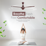 Cellecor BLIZZA CF481 Ceiling Fan