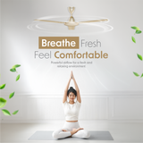 Cellecor BLIZZA CF481 Ceiling Fan
