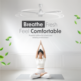 Cellecor BLIZZA CF481 Ceiling Fan