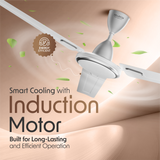 Cellecor VENTRA CF483 Ceiling Fan