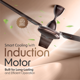 Cellecor VENTRA CF483 Ceiling Fan