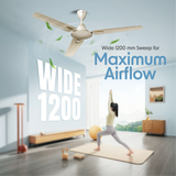 Cellecor AIRIX CF482 Ceiling Fan