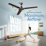 Cellecor AIRIX CF482 Ceiling Fan