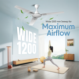 Cellecor AIRIX CF482 Ceiling Fan