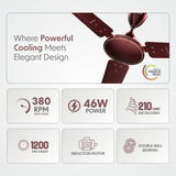Cellecor BLIZZA CF481 Ceiling Fan