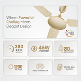 Cellecor BLIZZA CF481 Ceiling Fan