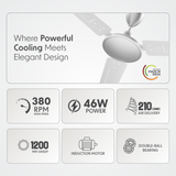 Cellecor BLIZZA CF481 Ceiling Fan