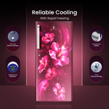 Cellecor FROZONE 215 Litre Refrigerator